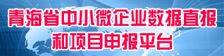 项目申报平台