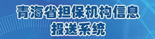 担保机构报送系统